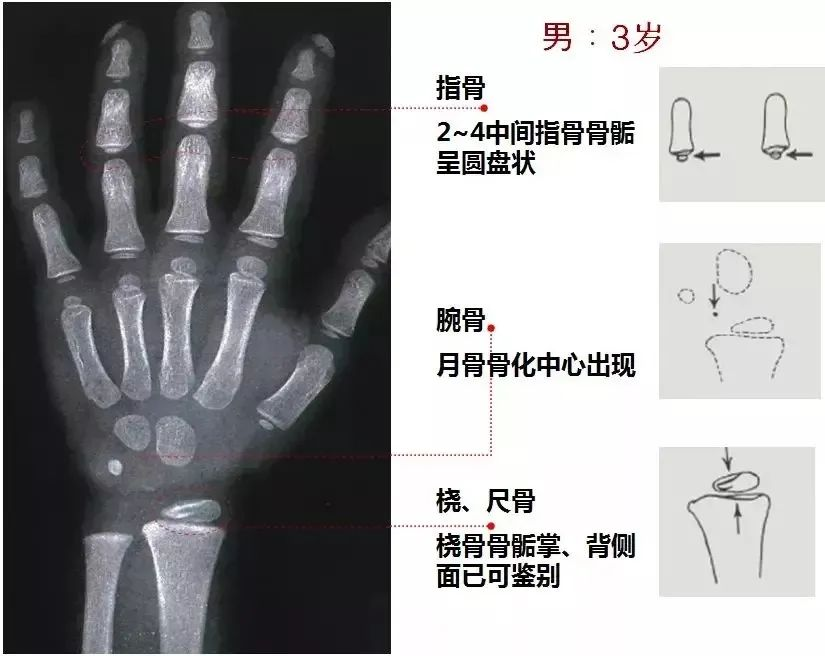 图片12.png